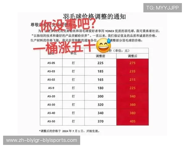 羽毛球物品价格 羽毛球物品价格